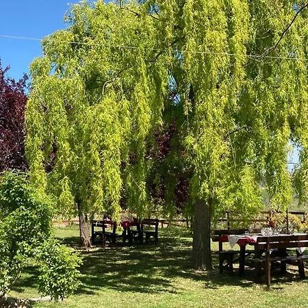Agriturismo Il Portico *